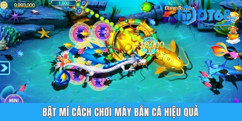 Cách Chơi Máy Bắn Cá - Có Nên Bắn Cá Online Tại DT68? Bật mí cách chơi máy bắn cá hiệu quả