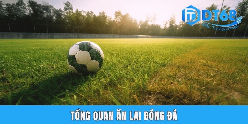 Ăn Lai Bóng Đá Là Gì? Đánh Giá Rõ Ràng Ưu Nhược Điểm Từ DT68 Tổng quan ăn lai bóng đá
